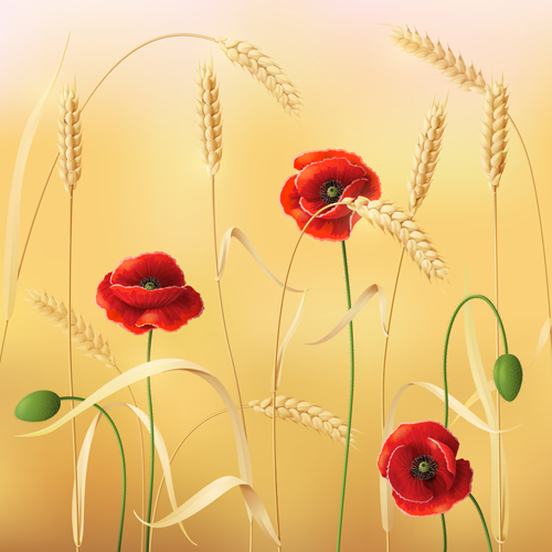 ith wheat design vector background 01 Poppy with wheat design vector background 01