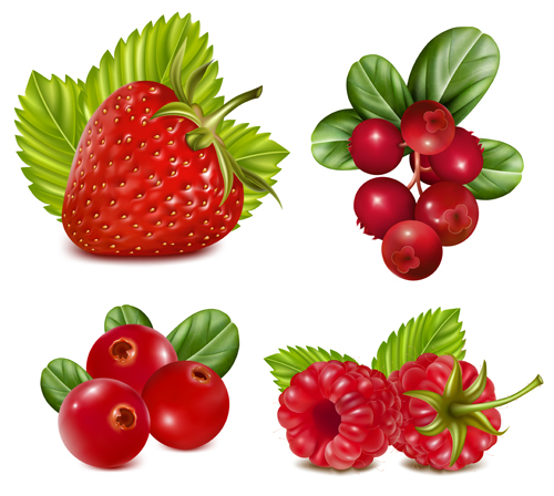 red fruits design 