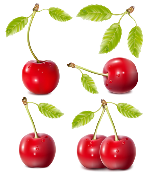 Ripe creative cherries 