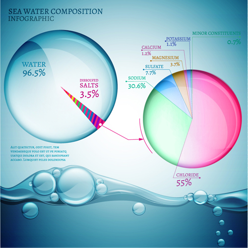 Sea water composition infographic vector 01