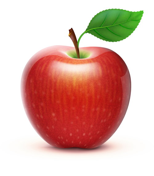 Various Fresh fruits design vector 05