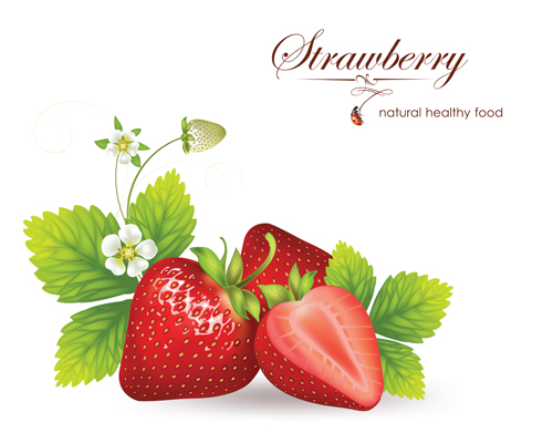 Fresh Fruits vector 04