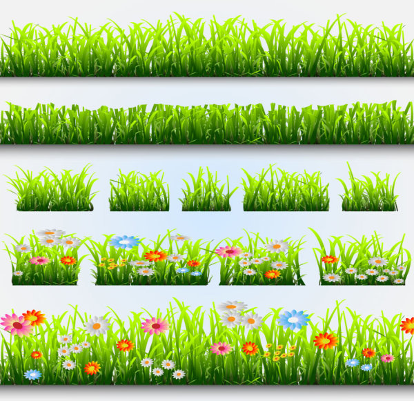 Grass and Flowers Decoration elements vector 04
