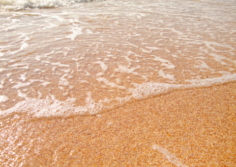 Clear waters and beach background vector