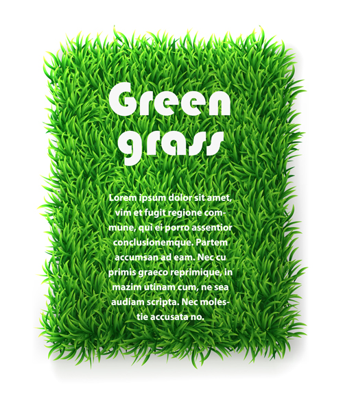green grass green grass background 