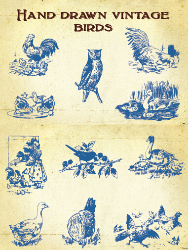 Hand drawing vintage birds vector material