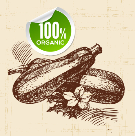 Hand drawn vegetables with organic sticker vector 01