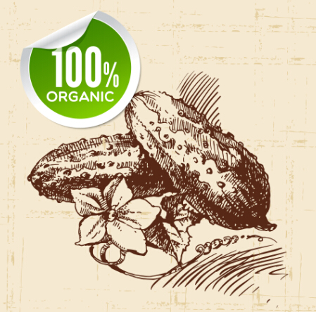 vegetables sticker organic hand drawn 