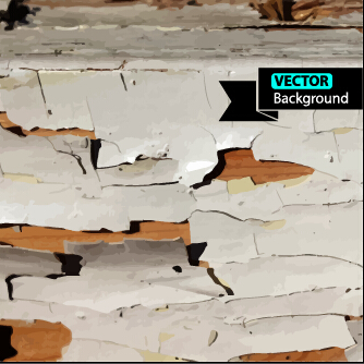 Old wall with crack background vector