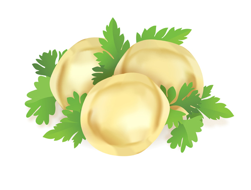 Delicious Pelmeni vector set 02