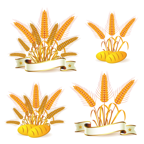 Bread with wheat vector 04