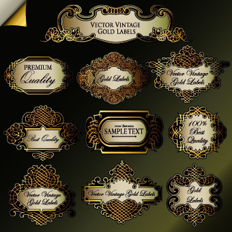 Retro label luxury design vector 02