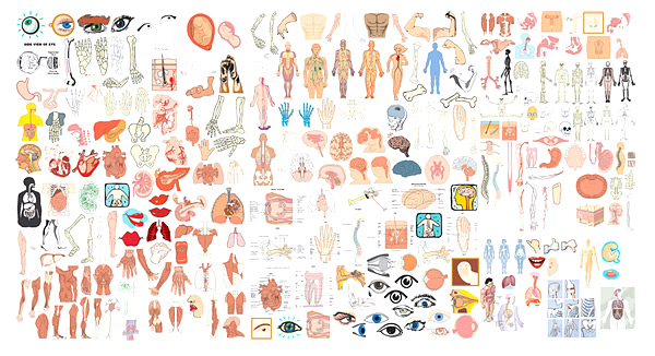 Elements of structure of the human body organs Vector