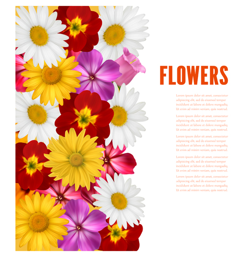 flower different colored background vector background 