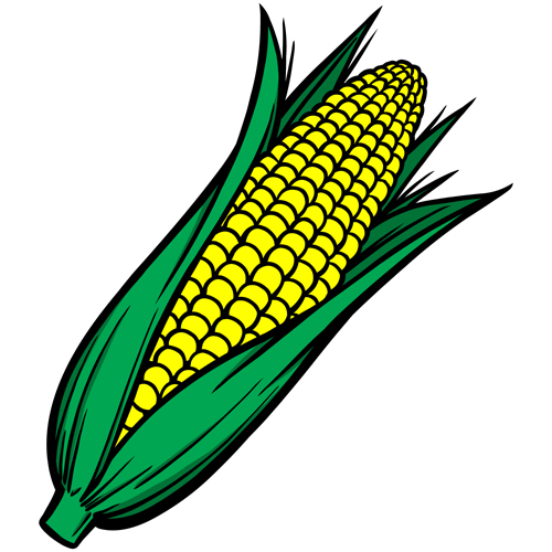 Hand drawn corn vector design 01