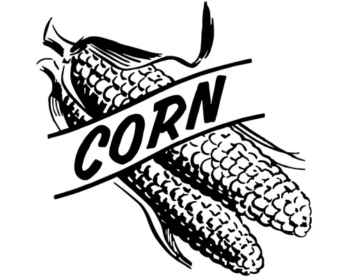 hand drawn corn 