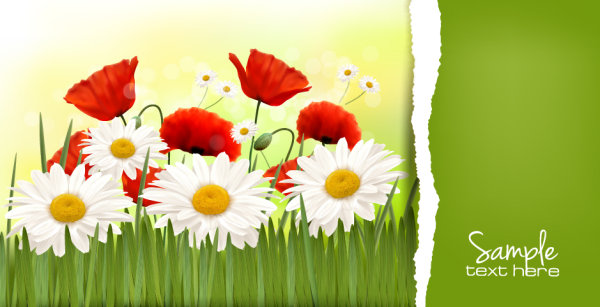 Vivid Chrysanthemum vector background 03