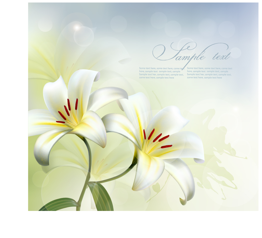 vector background flower beautiful background 