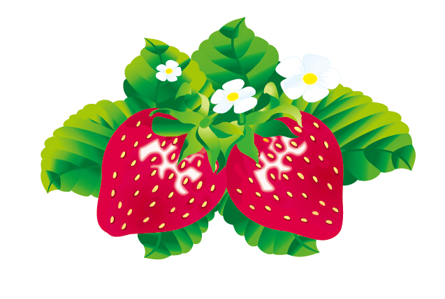 strawberries juicy fresh 