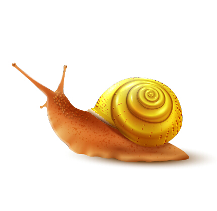 snails realistic 