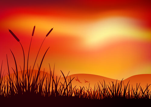 capes beautiful vector background 02 Sunset landscapes beautiful vector background 02