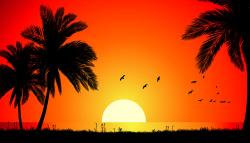 sunset landscape beautiful background 