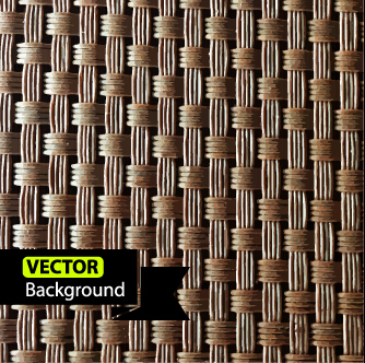 Vine braid background vector