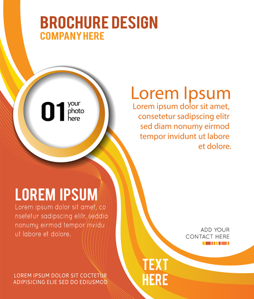 Abstract brochure business template vector 01 Abstract brochure business template vector 01