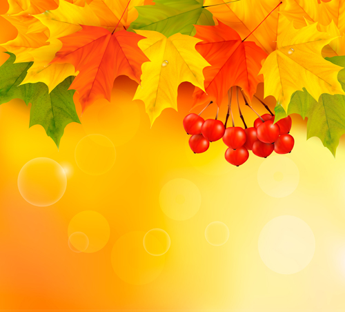 leaves background Backgrounds background autumn leaves autumn 