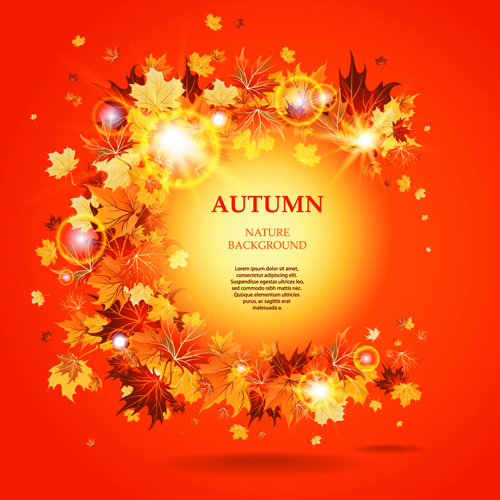 leaves background Backgrounds autumn leaves autumn 