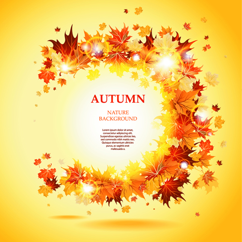 maple leaves leaves background Backgrounds background autumn leaves autumn 