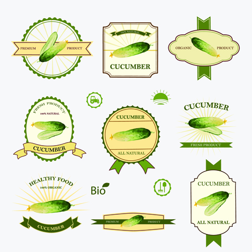 Cucumber healthy food labels vector