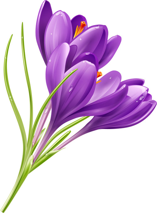shiny purple flower 