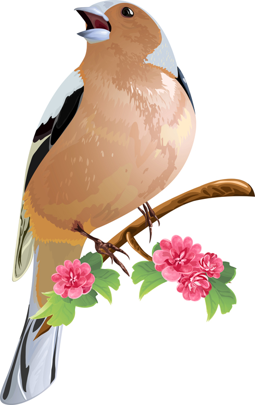 Pink flowers with bird vecto material