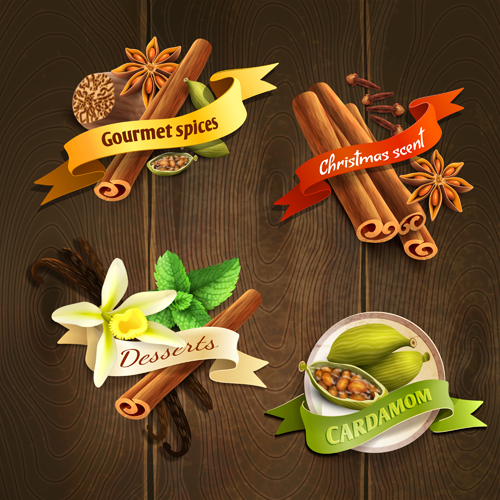 Retro spices labels design vector set 01