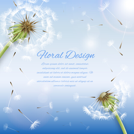 shiny material dandelion Backgrounds background 