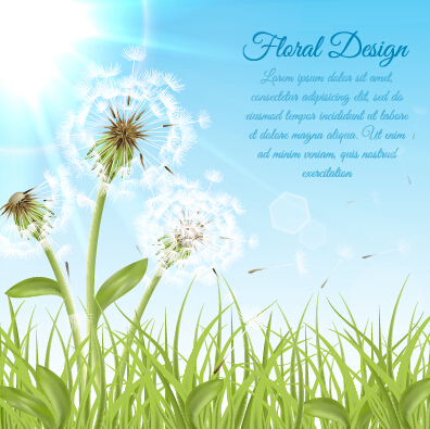 elion vector backgrounds material 03 Shiny dandelion vector backgrounds material 03