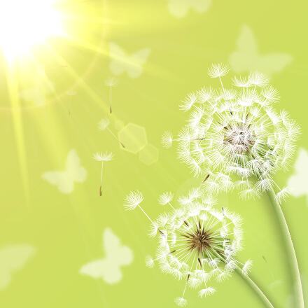 elion vector backgrounds material 04 Shiny dandelion vector backgrounds material 04
