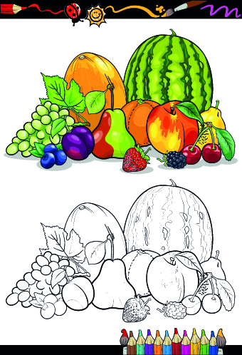 vegetables vegetable sketch fruit 