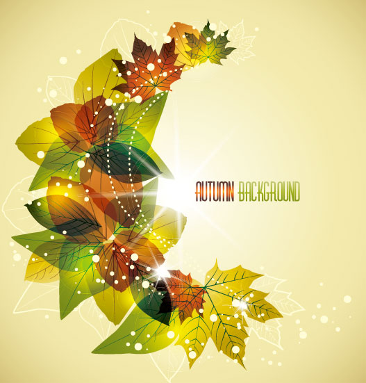 autumn elements vector background set 03
