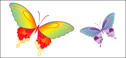 Colorful Butterfly elements vector