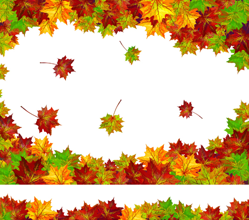 beautiful background vector background 