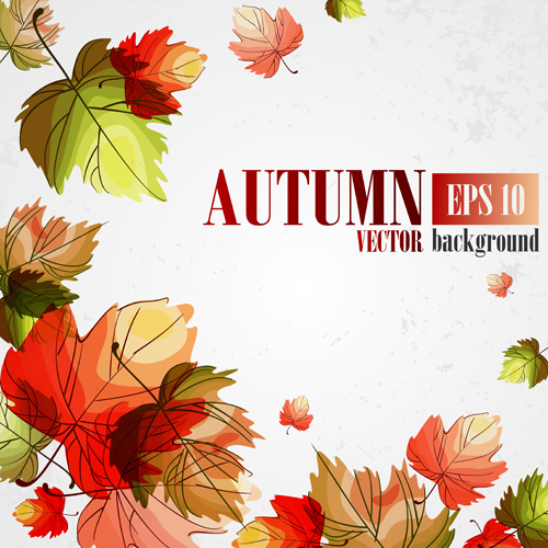 Autumn beautiful background vector set 03