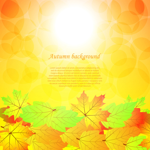 Autumn beautiful background vector set 08