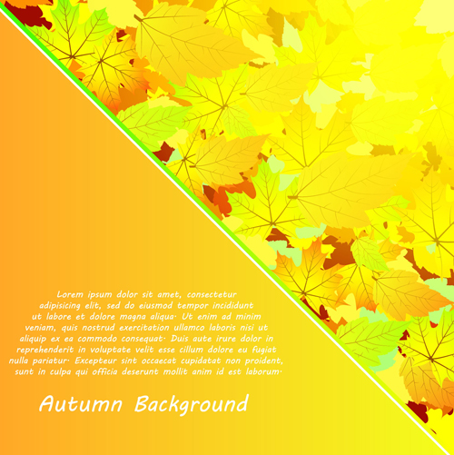 Autumn beautiful background vector set 09