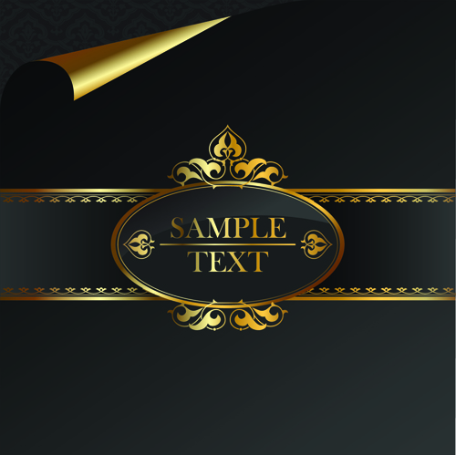 Black Golden ornate Backgrounds vector 04