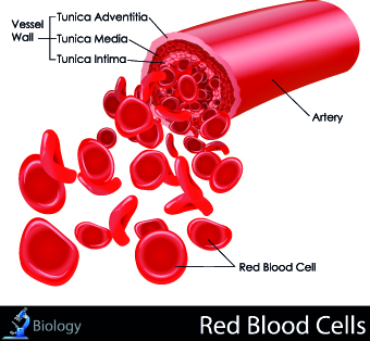 Creative Biology with Medicine infographic vector 05