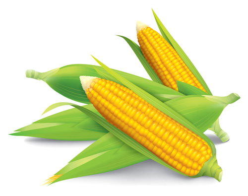 sign realistic corn 