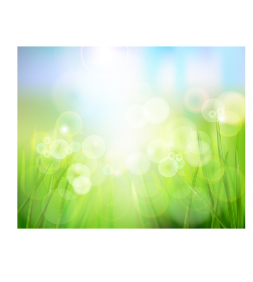 Bright Spring backgrounds 05