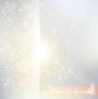 Winter design elements vector background 04